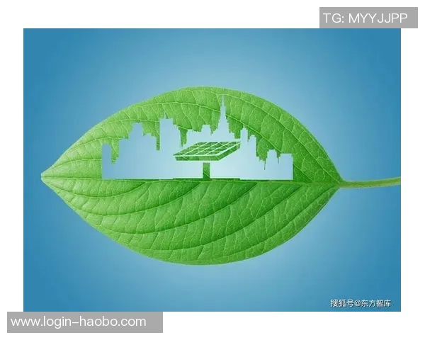 篮球瓦的魅力与技术解析探索篮球运动的未来发展趋势与创新方向