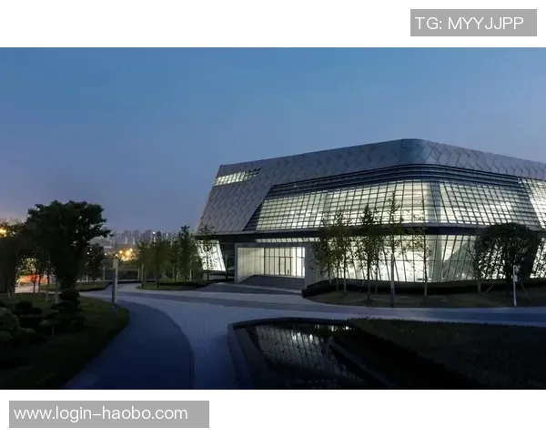 瓦尔德足球俱乐部的崛起与发展历程探讨及未来展望分析